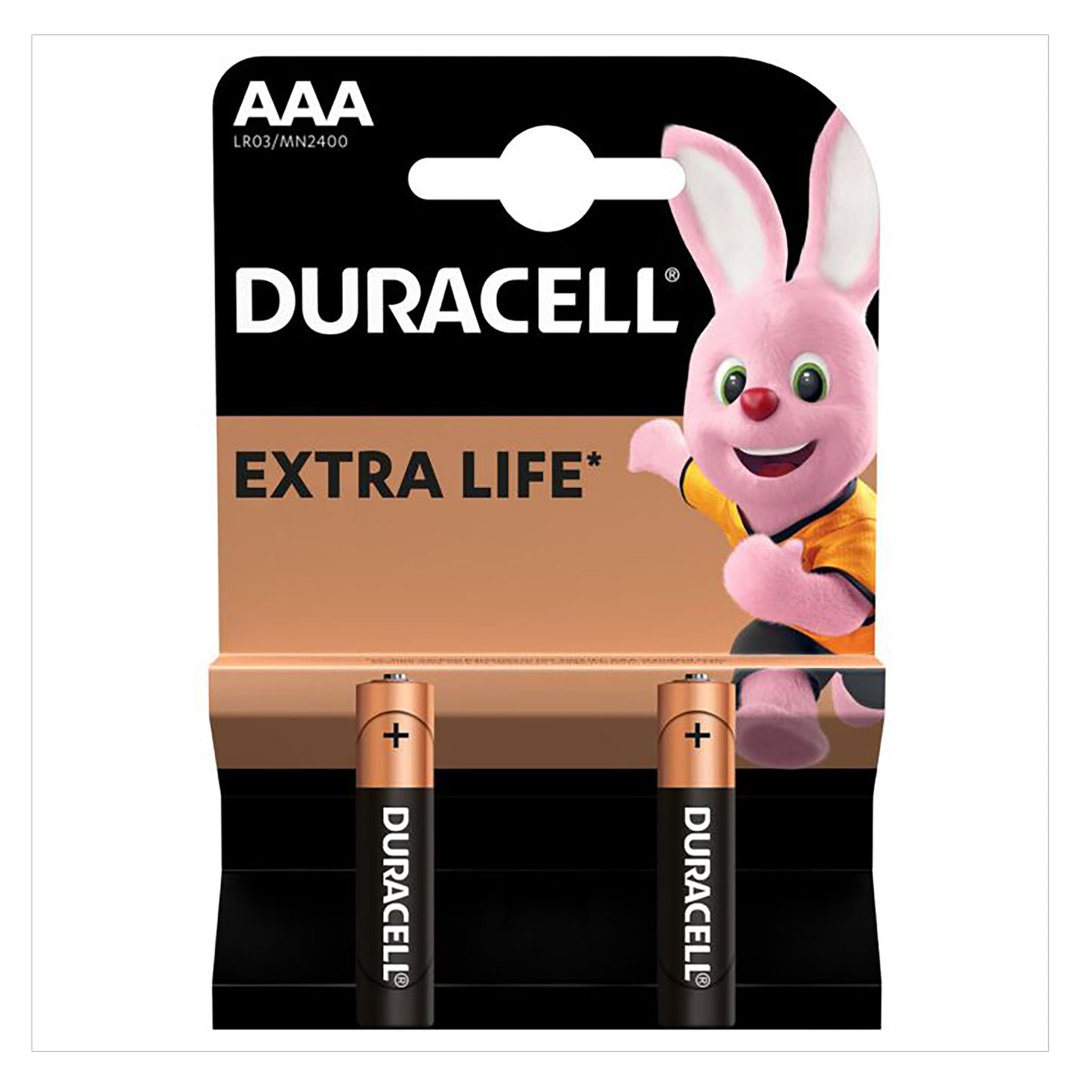 DCL-AAA-2 - щелочная батарейка Duracell AAA, аналоги: LR03, MN2400  (2 шт. в блистере)